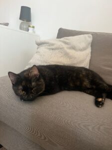 Sofie