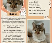 02 Doris