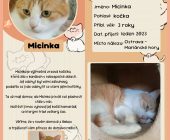 07 Micinka