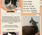 13 Emilka