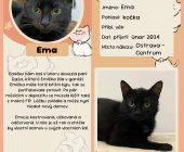 24 Ema šablona2