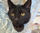 613933547_737937469388608_5230041909322033175_n