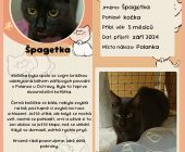 76 Špagetka šablona