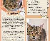 84 Lupínek