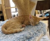 Billie 2025_08_16 (1)