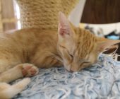 Billie 2025_08_16 (4)