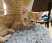 Billie 2025_08_16 (6)