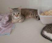 Dášenka 2025_07_05