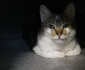 Doris 2025_06_07