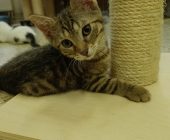 Eliška 2025_07_12 (2)