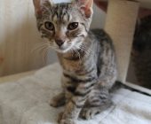 Eliška 2025_08_16 (4)