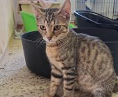 Eliška (4)