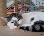 Eliška (5)