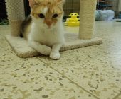 Ellie 2025_07_12 (1)