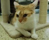 Ellie 2025_07_12 (2)