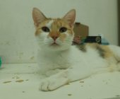 Ellie 2025_07_24 (6)