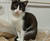 Emilka 6.10.2024 (1)