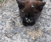 FB_IMG_1754307959624