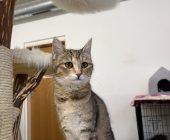 IMG_3401