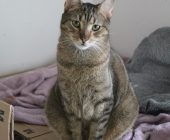 Janek (1)