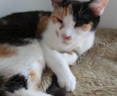 Kristýnka 2025_08_16 (3)