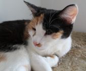 Kristýnka 2025_08_16 (4)