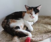 Kristýnka 2025_08_16 (5)