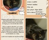 Ludmi