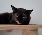 Ludmilka (2)