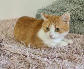 Micinka 6.10.2024 (1)