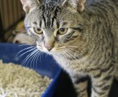 Oliver 2025_05_16 (1)