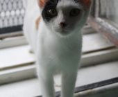 Rozárka 2025_08_16 (3)