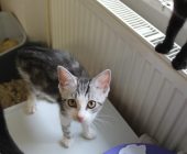 Suzi 2025_08_16 (1)
